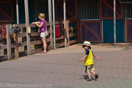 Excited Child at Lowry Park