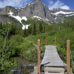 Swiftcurrent Pass Trail