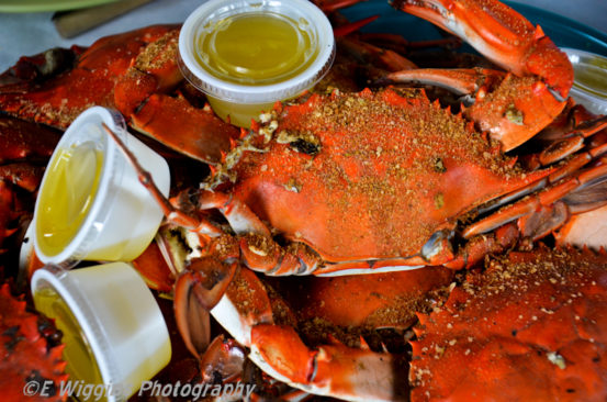 Steamed Blue Crab