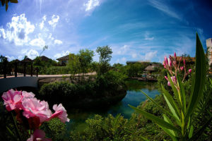 Mayakoba Resort