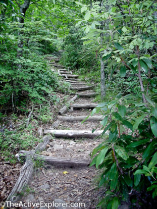 Stairs to Albert Mountain