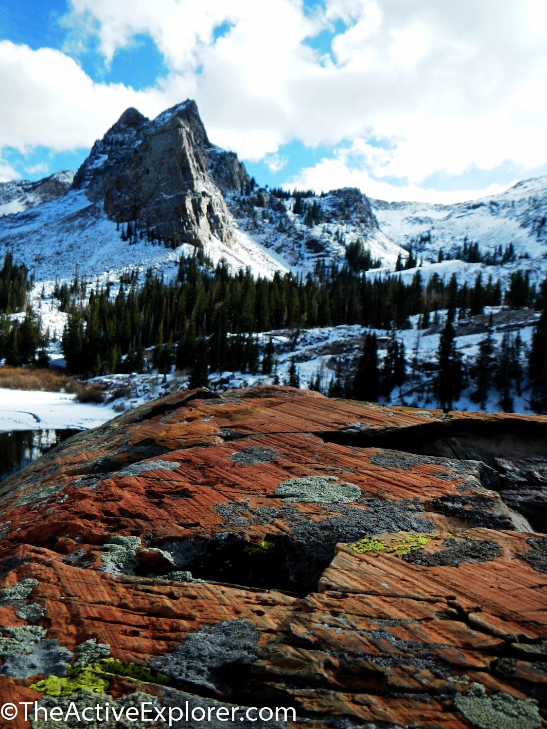 Boulders decorated with multicolored lichen and scratches from ancient glaciers.