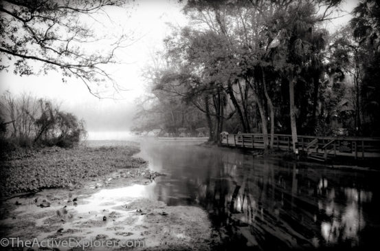 A misty morning at Wekiwa Springs