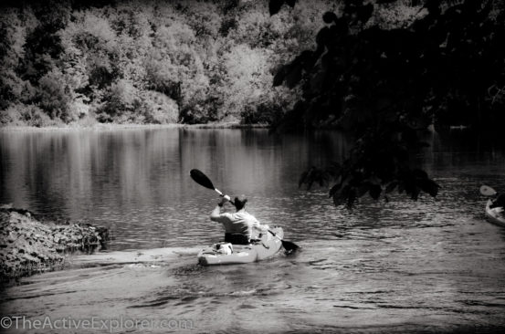 Kayak in Wekiwa Springs