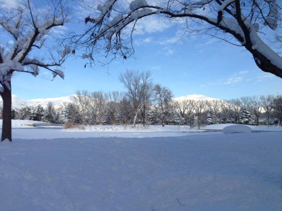 Snowy Day at Liberty Park, Salt Lake City