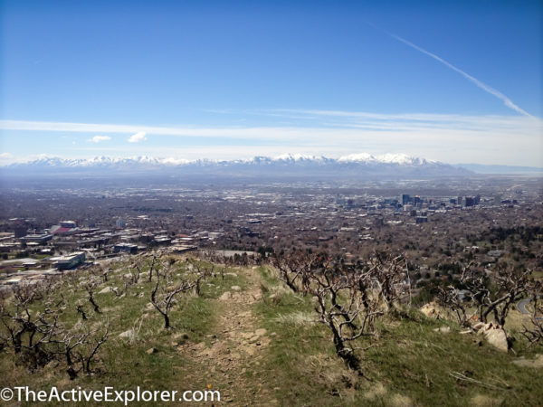 Our view on the way down trail.