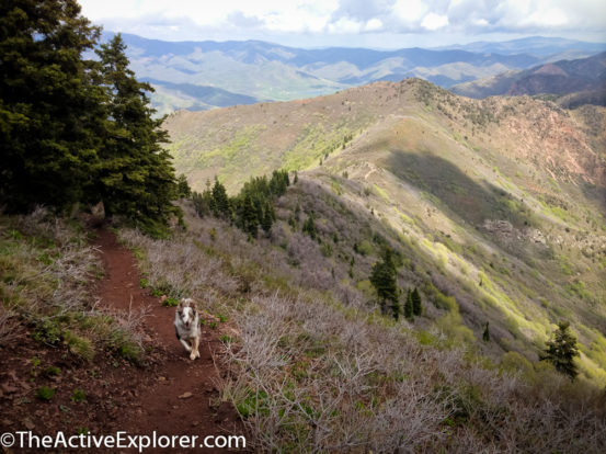 Descending back toward the saddle.