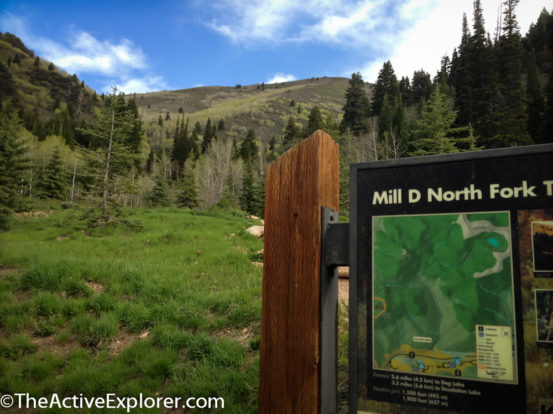 Mill D Trailhead