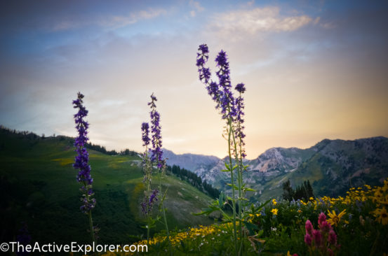 Alta Ski Area Sunset