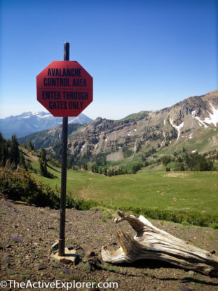 avalanche control area sign