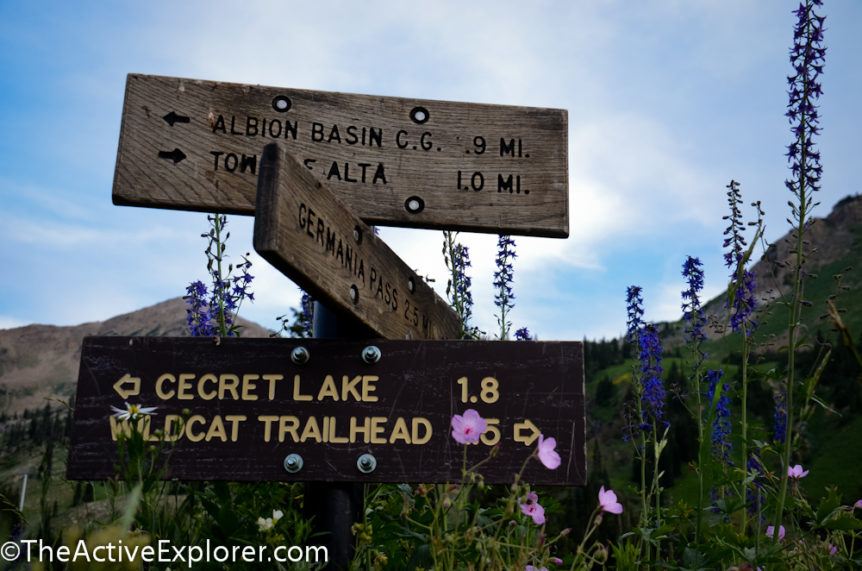 Sign and wildflowers at Alta Ski Area