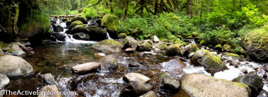 Oneonta Creek Pano