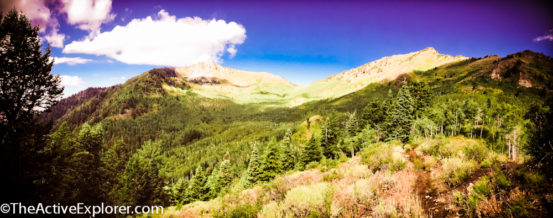 View of Mount Raymond from the meadow