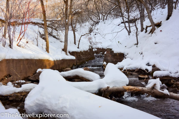 Red Butte Gardens Loop Trail Stream