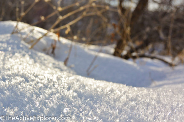 Sunlit Snow at Red Butte