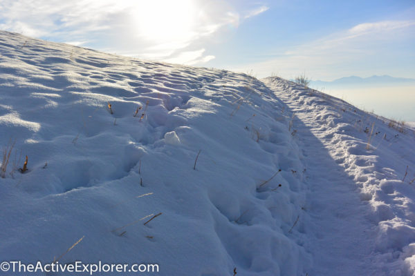 Snowy trail at Red Butte