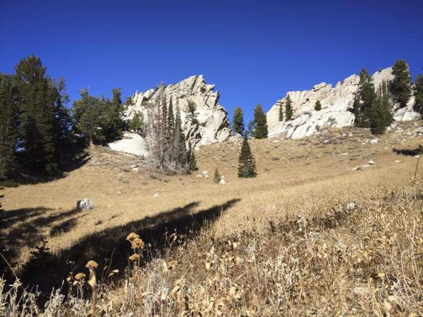 Meadow Near Outlaw Cabin - TheActiveExplorer.com