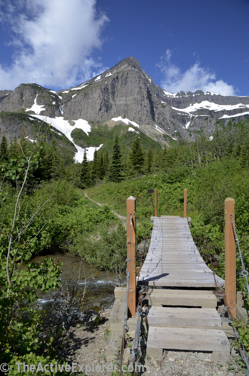 Swiftcurrent Pass Trail