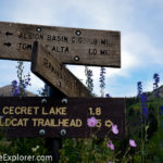 Sign and wildflowers at Alta Ski Area