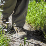 How cleaning your gear can prevent the spread of pests.